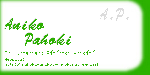 aniko pahoki business card